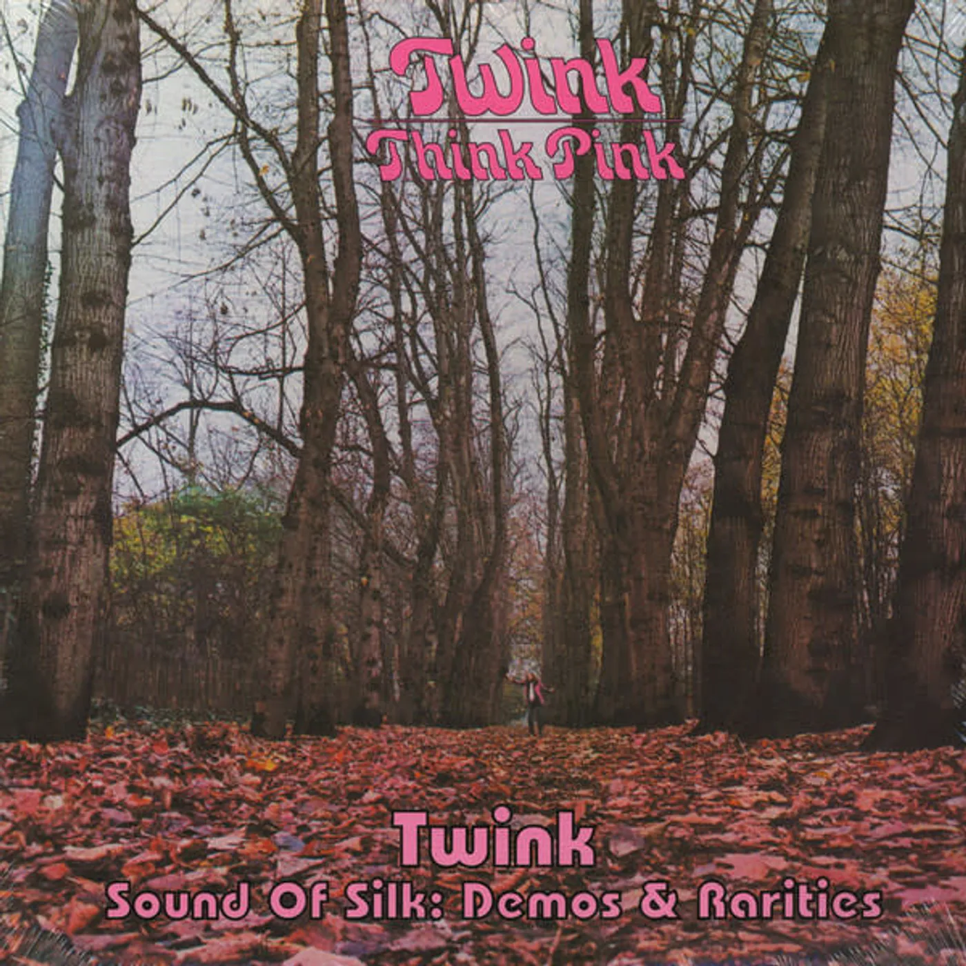 Twink THINK PINK / SOUND OF SILK: DEMOS & RARITIES Vinyl Record