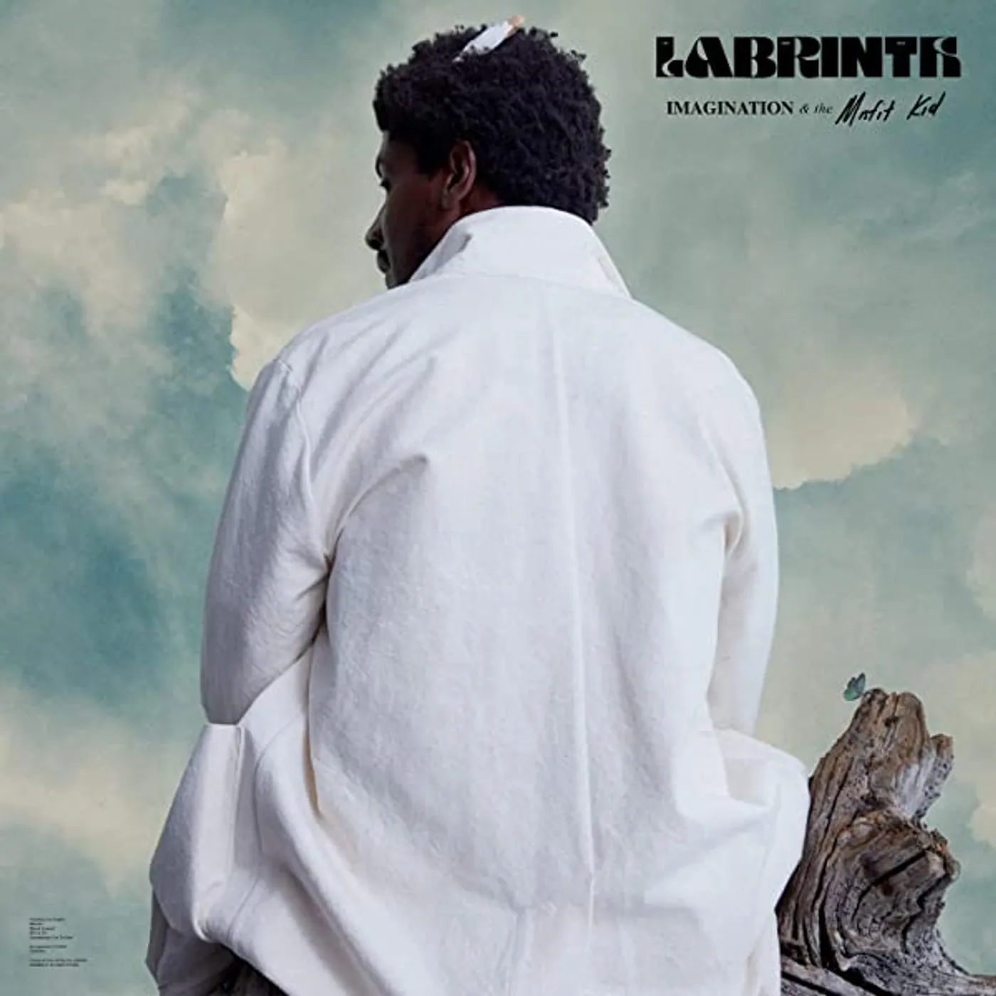 Labrinth Imagination & the Misfit Kid Vinyl Record