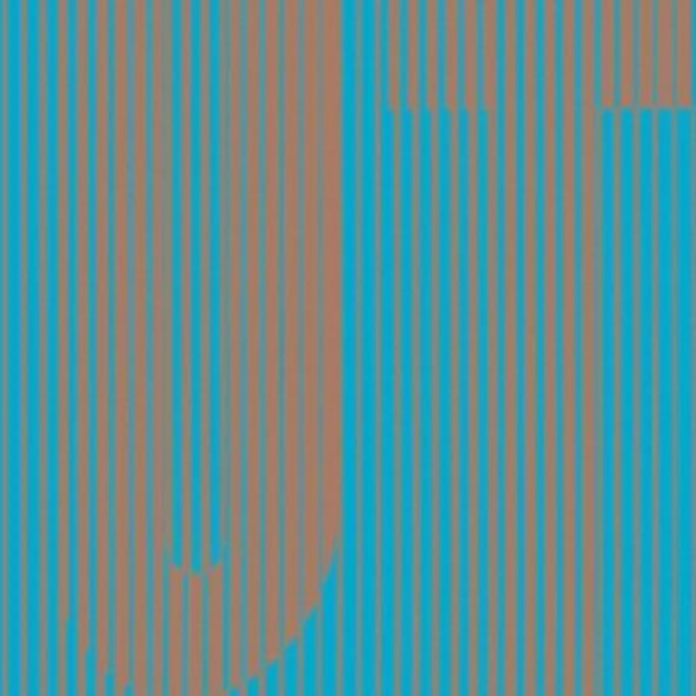 IN GUT'S HOUSE Vinyl Record