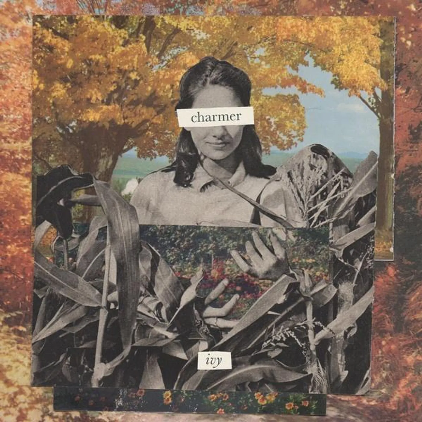 Charmer ivy Vinyl Record