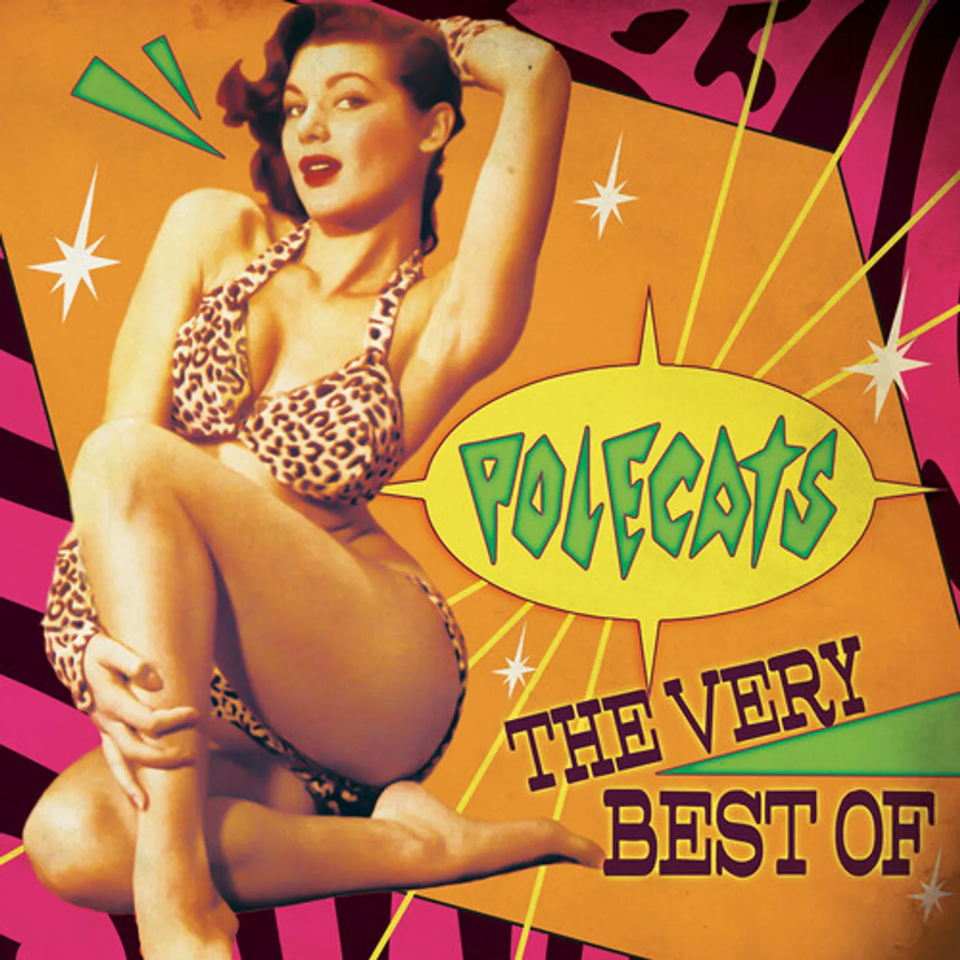The Polecats VERY BEST OF Vinyl Record