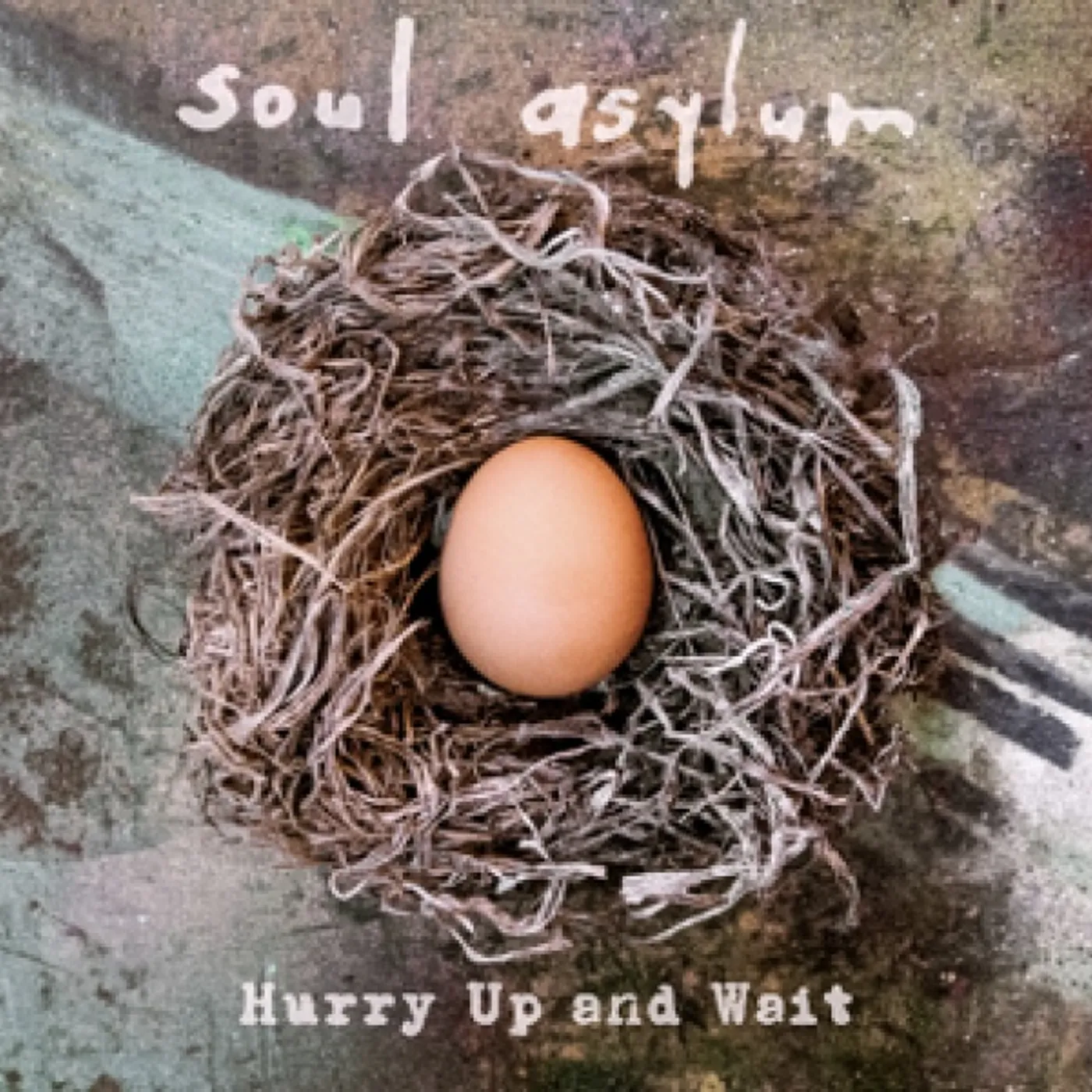Soul Asylum HURRY UP & WAIT CD