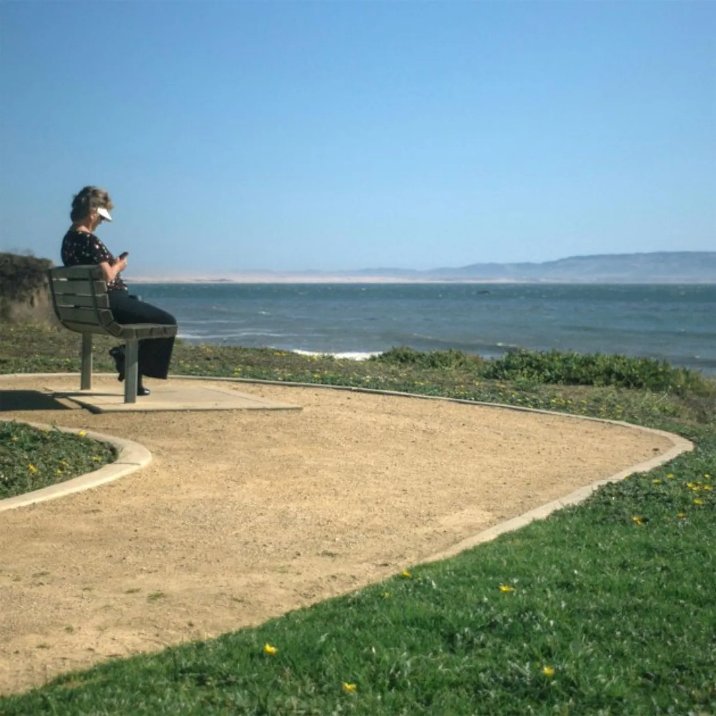 Disheveled Cuss Vinyl Record