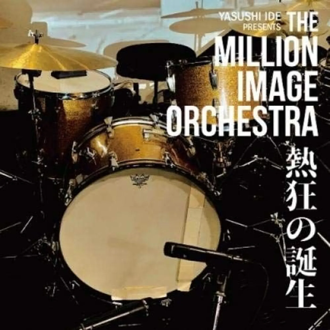 THE MILLION IMAGE ORCHESTRA NEKKYOU NO TANJO Vinyl Record