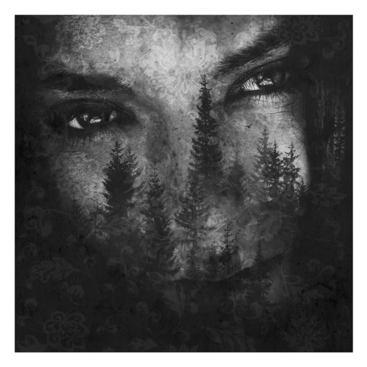 Lustre ASHES OF LIGHT CD