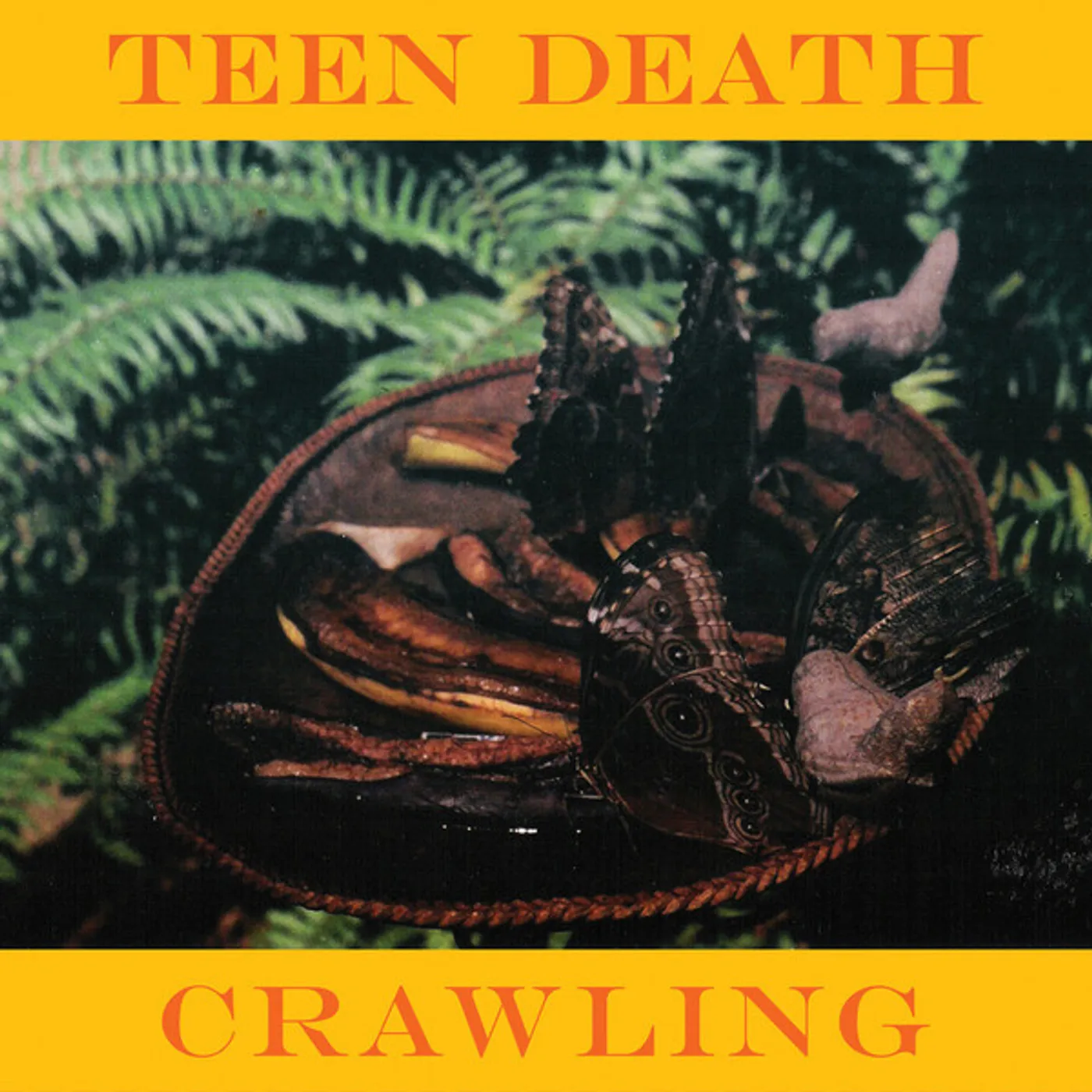 Teen Death CRAWLING & MORE Vinyl Record