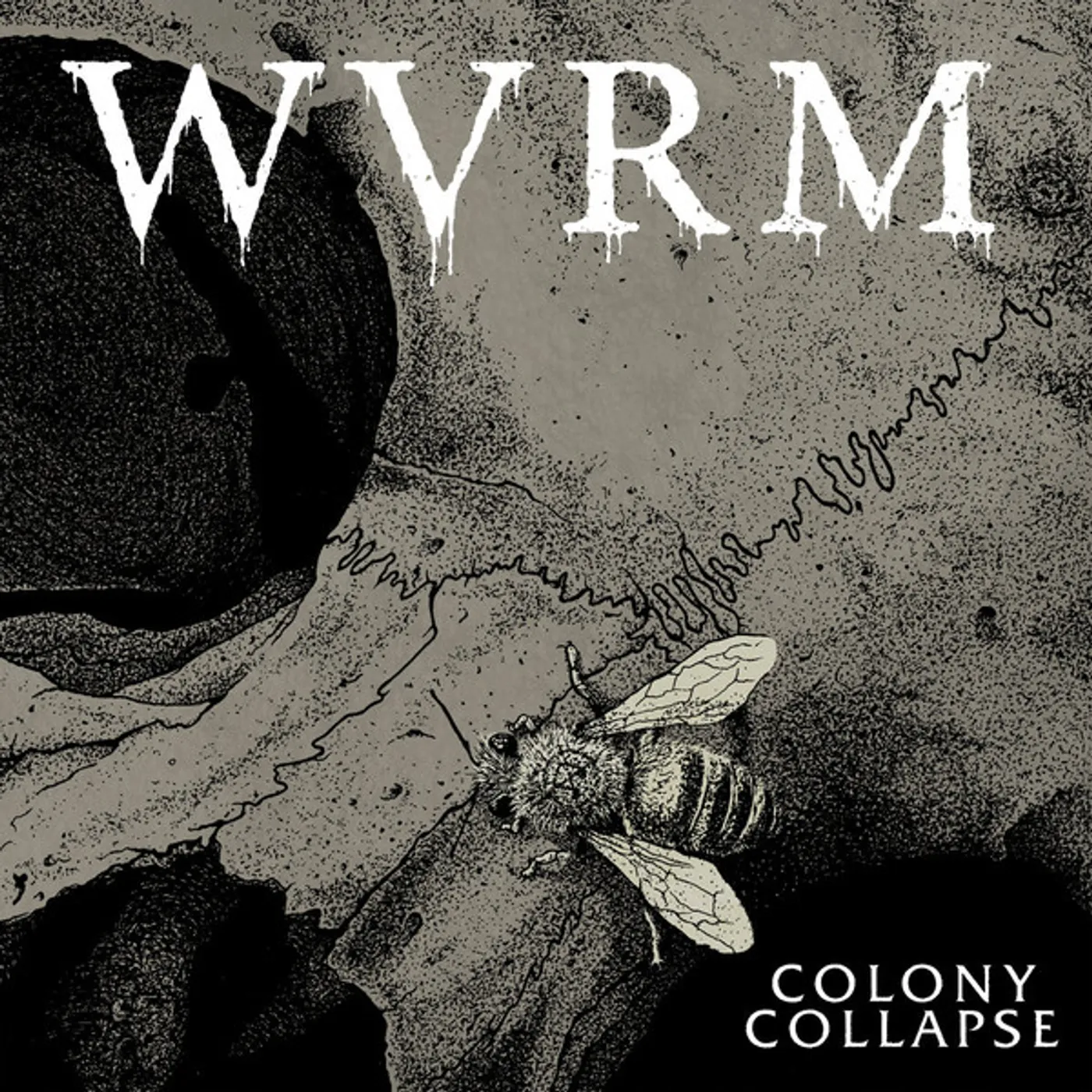 WVRM COLONY COLLAPSE CD