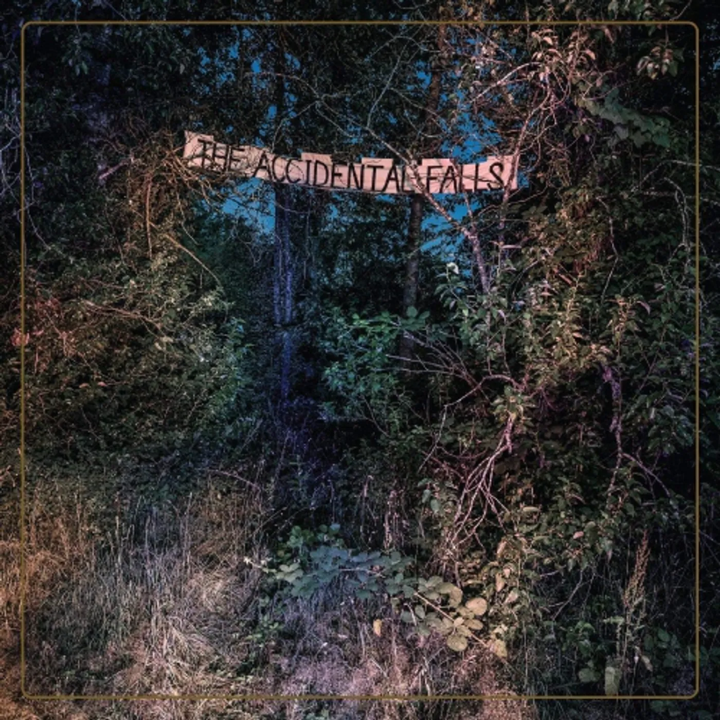 Eyelids ACCIDENTAL FALLS Vinyl Record