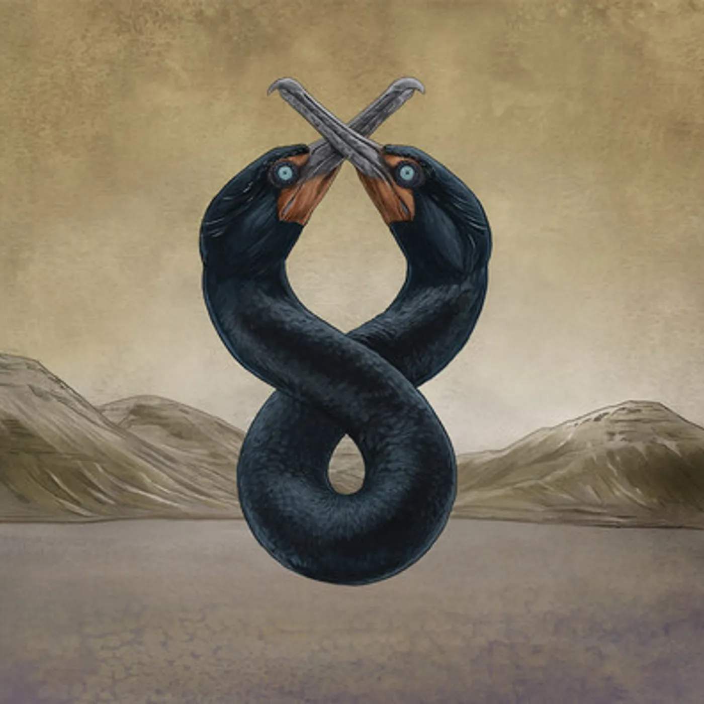 San Fermin CORMORANT I & II CD