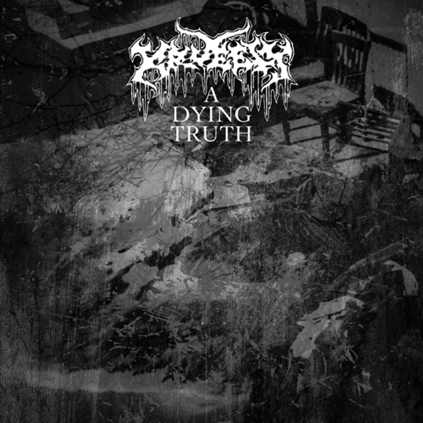 KRUELTY DYING TRUTH Vinyl Record