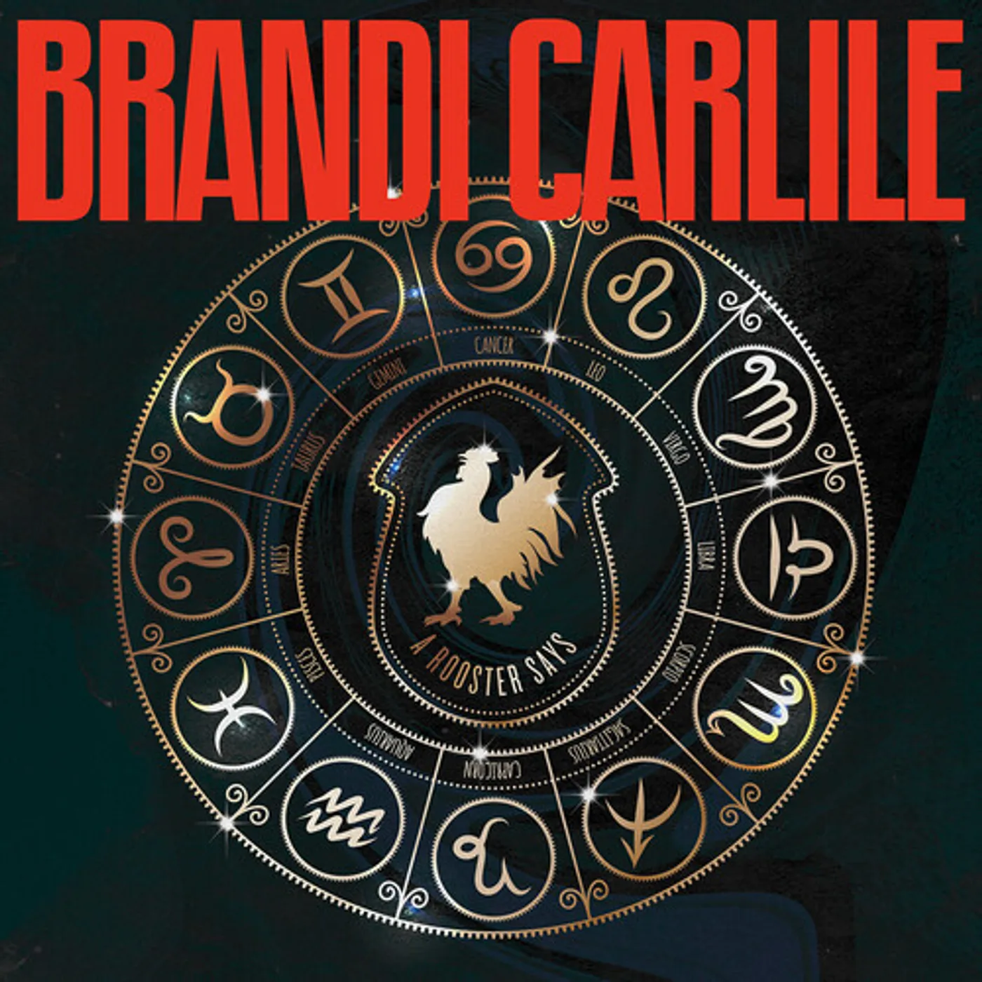 Brandi Carlile Rooster Says Vinyl Record