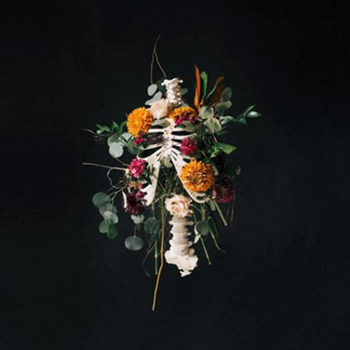 Elevation Worship GRAVES INTO GARDENS CD