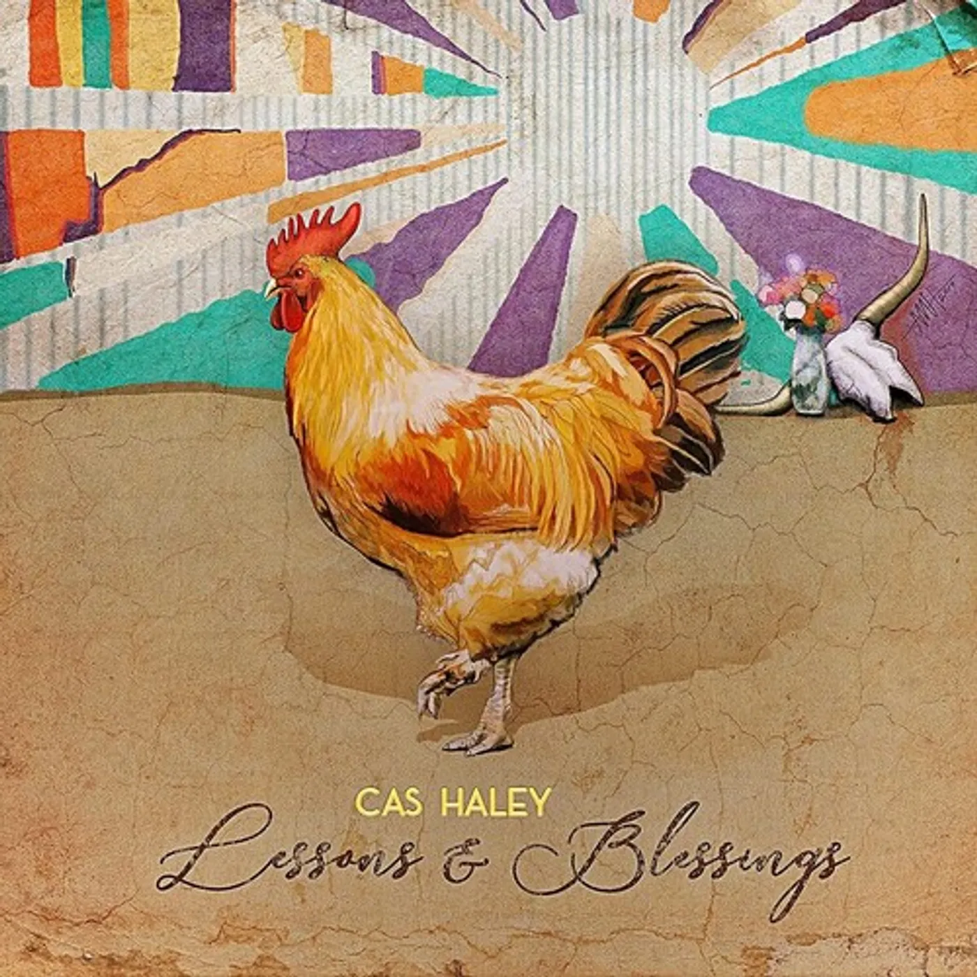 Cas Haley LESSONS & BLESSING Vinyl Record
