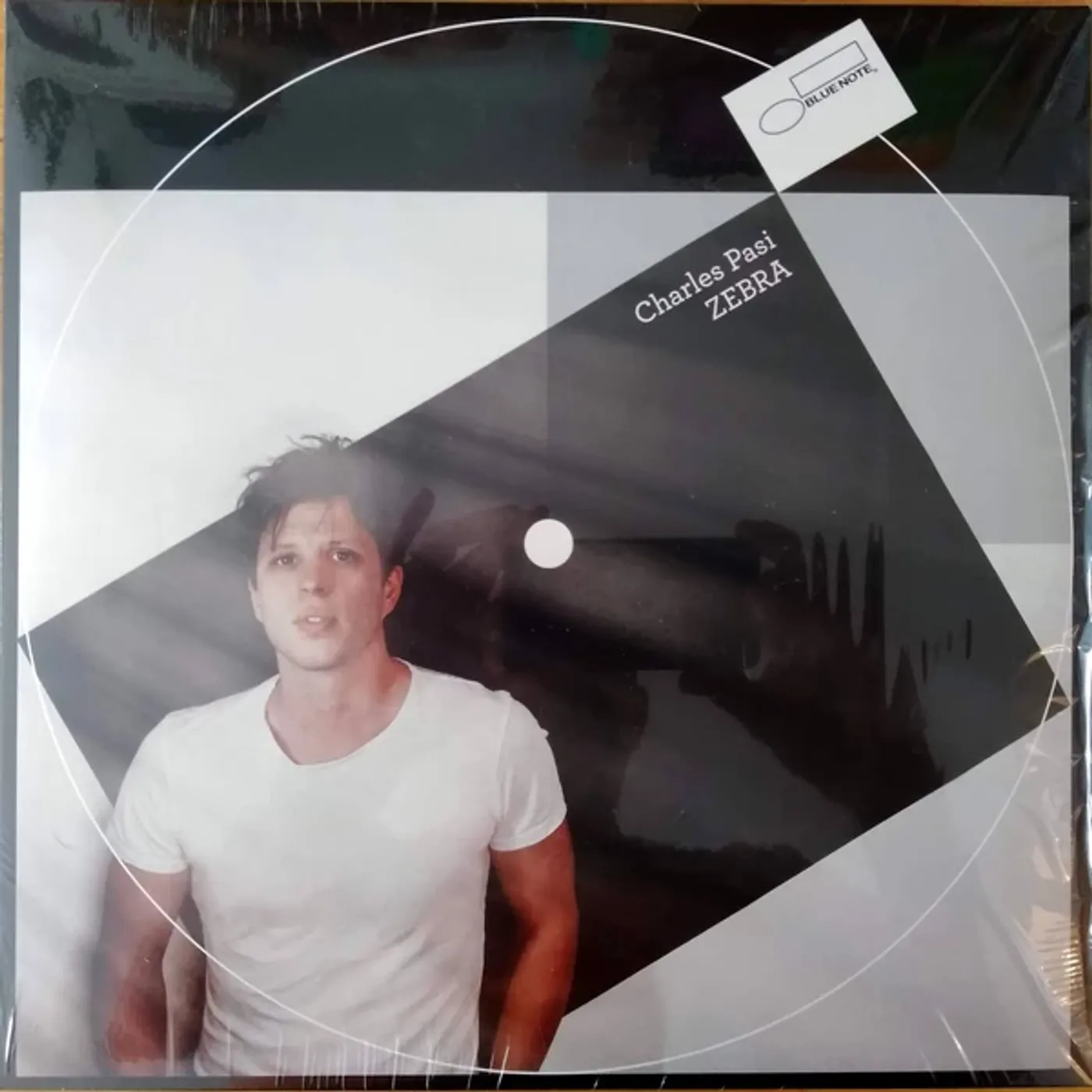 Charles Pasi Zebra Vinyl Record