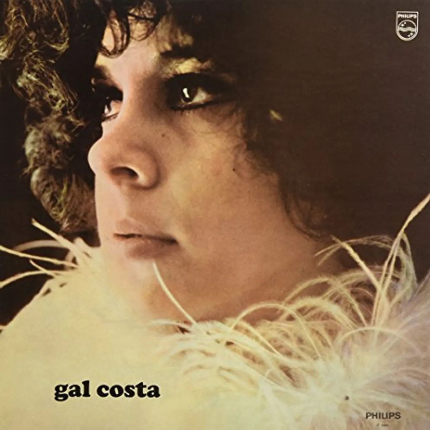 Gal Costa Vinyl Record