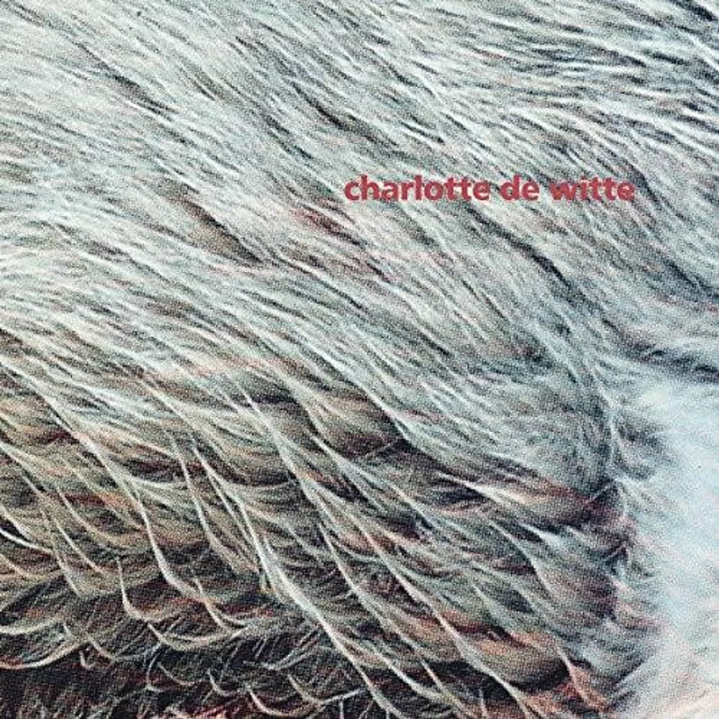 Charlotte de Witte VISION Vinyl Record