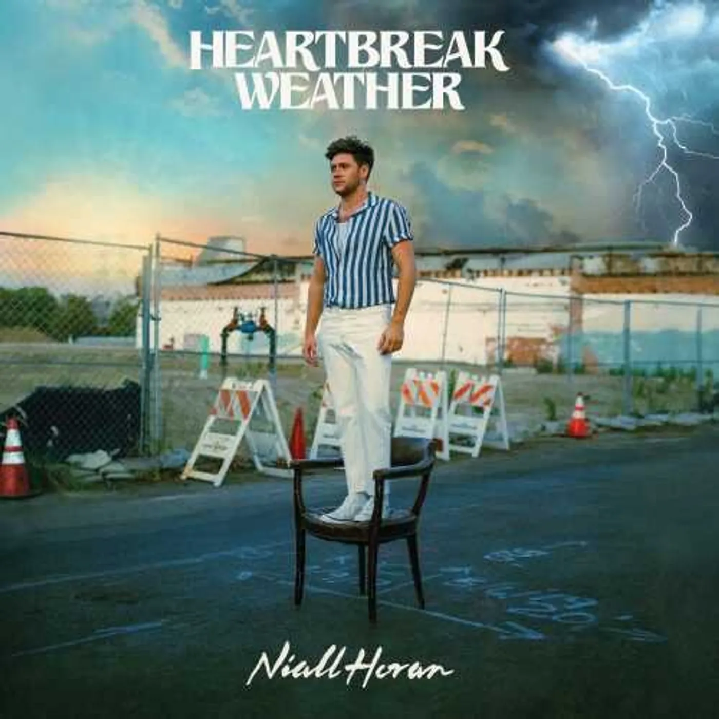 Niall Horan Heartbreak Weather Vinyl Record