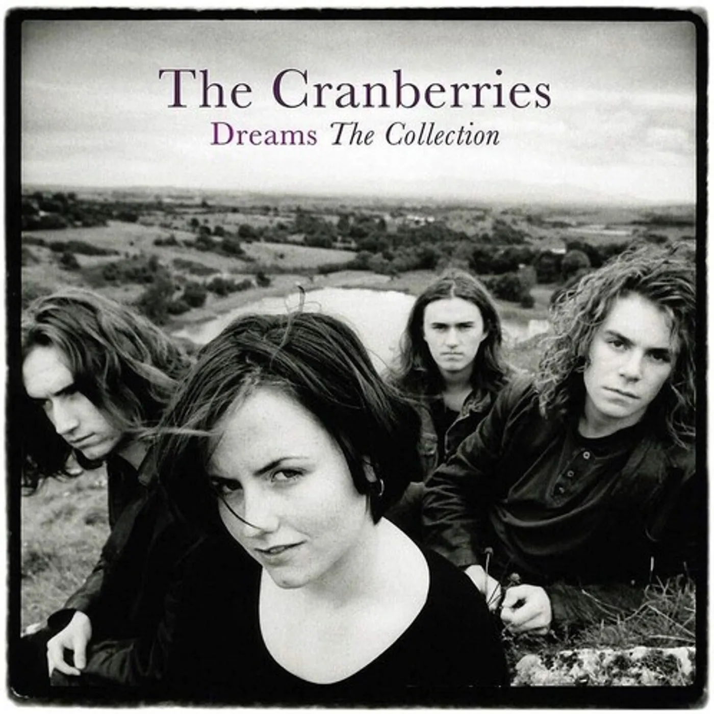 The Cranberries Dreams: The Collection Vinyl Record