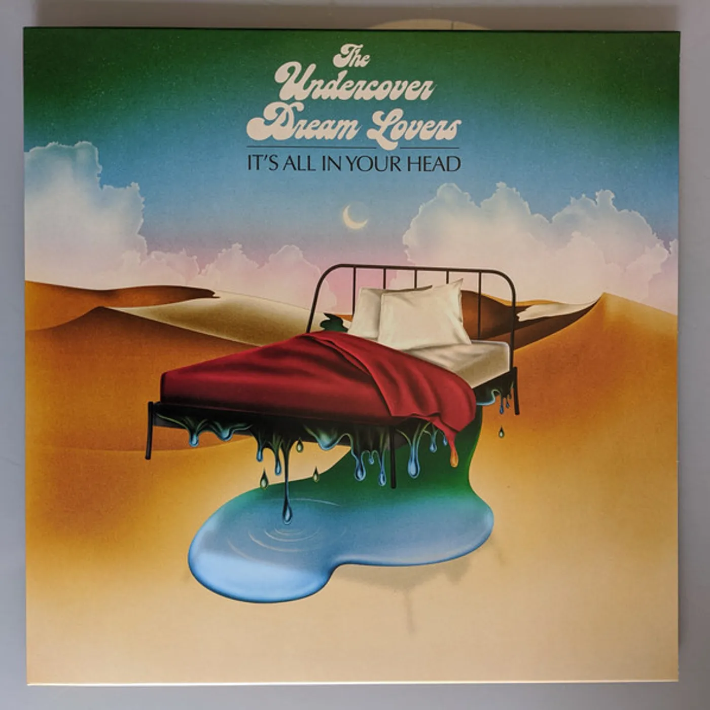 The Undercover Dream Lovers It's All in Your Head Vinyl Record