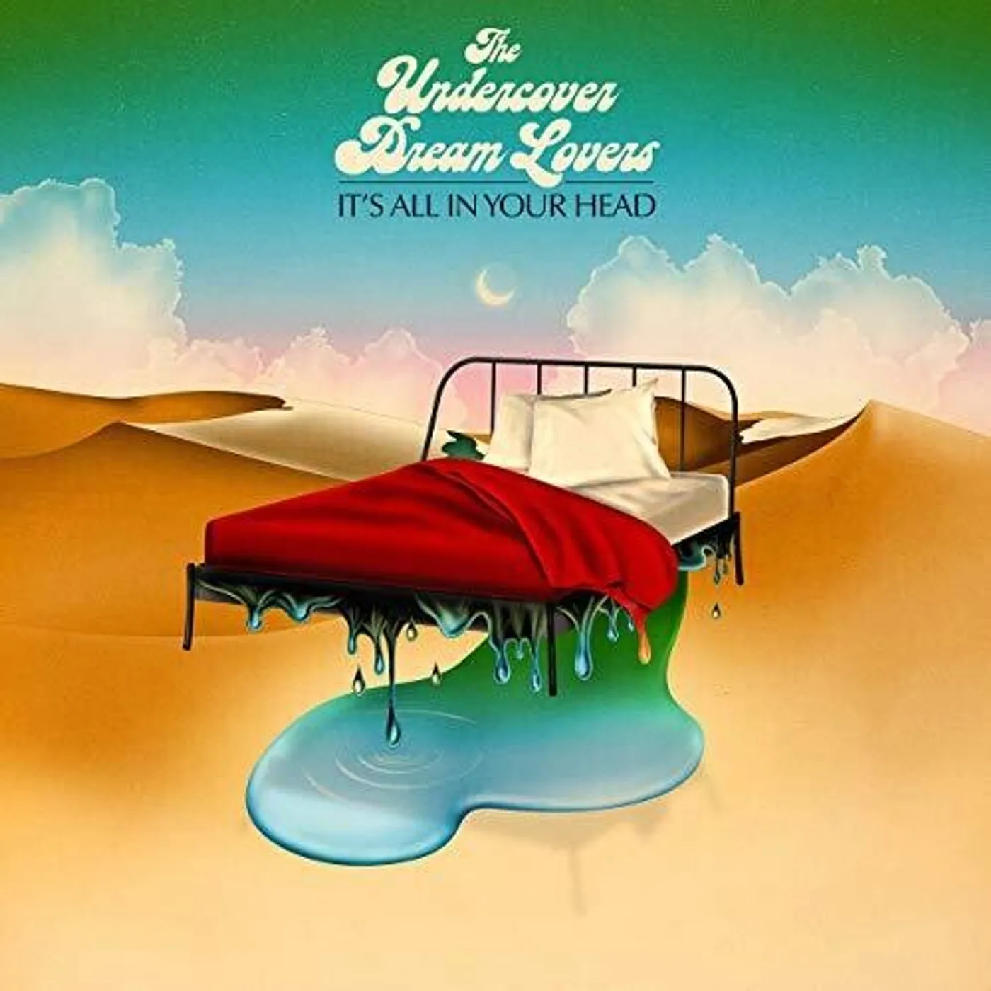 The Undercover Dream Lovers It's All in Your Head Vinyl Record