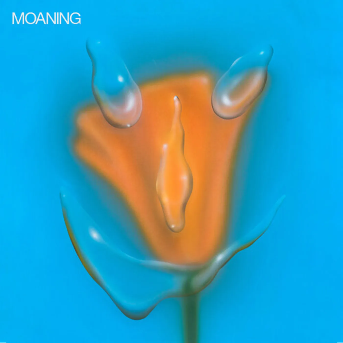 Moaning Uneasy Laughter Vinyl Record