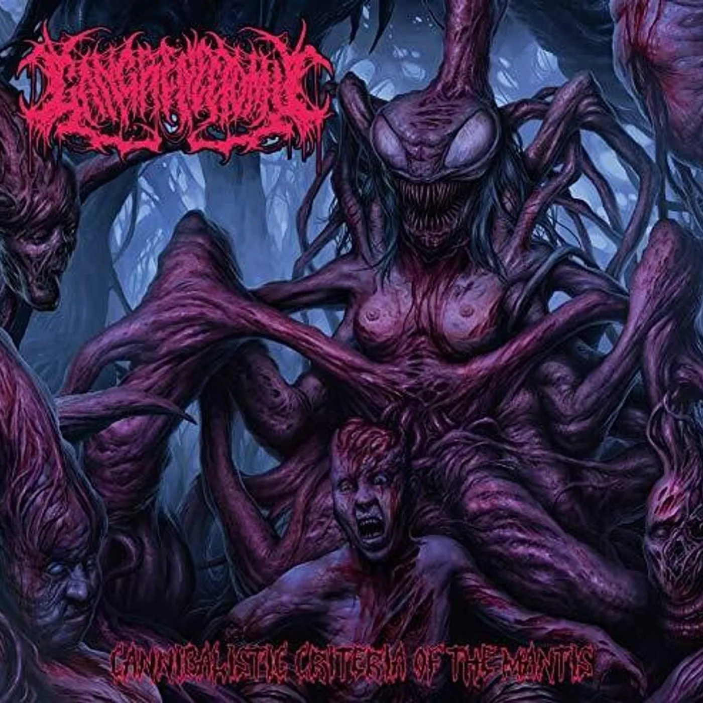 Gangrenectomy CANNIBALISTIC CRITERIA OF THE MANTIS CD