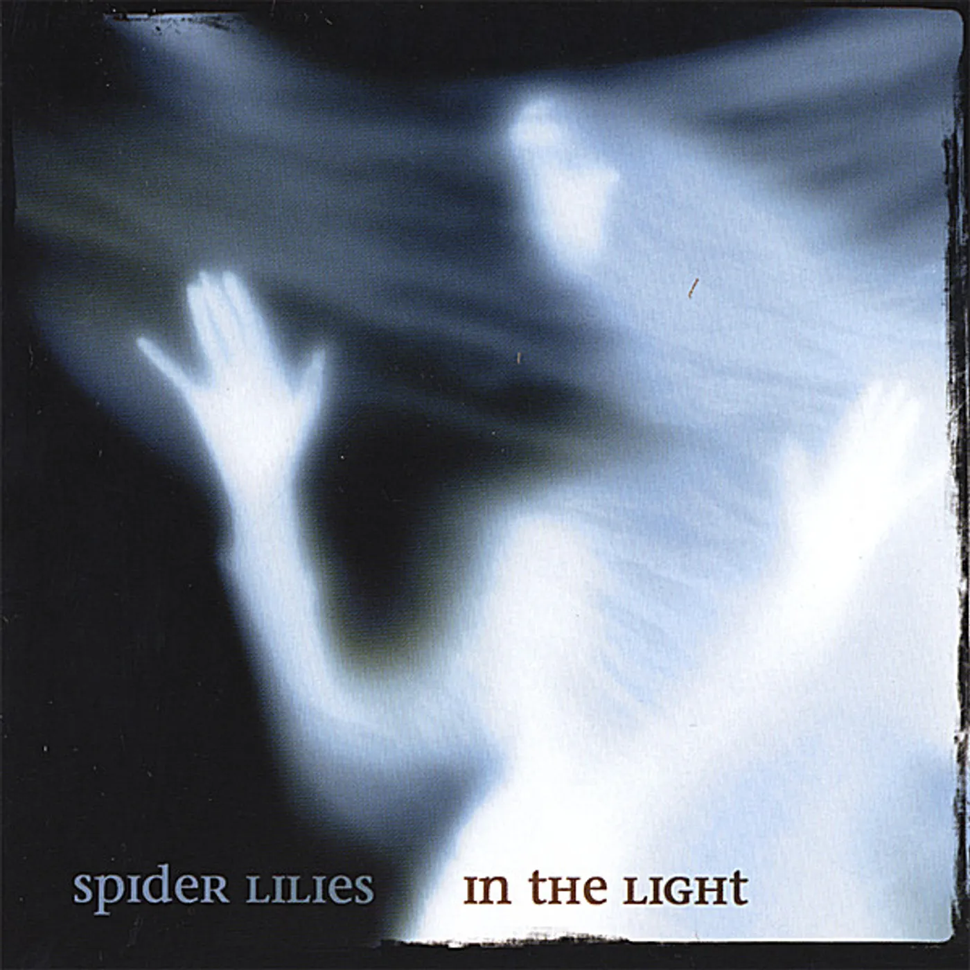 Spider Lilies IN THE LIGHT CD