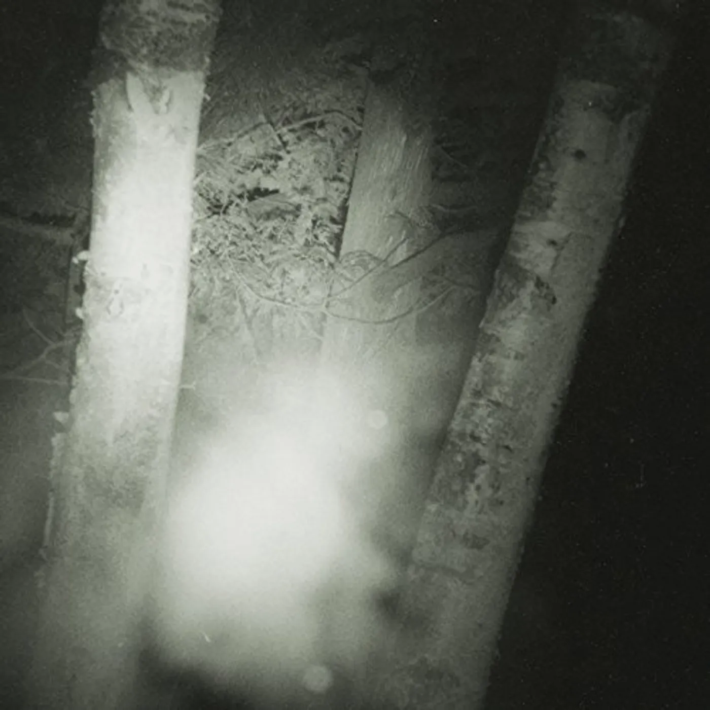 Circle of Salt SUFFER THE COLD CD