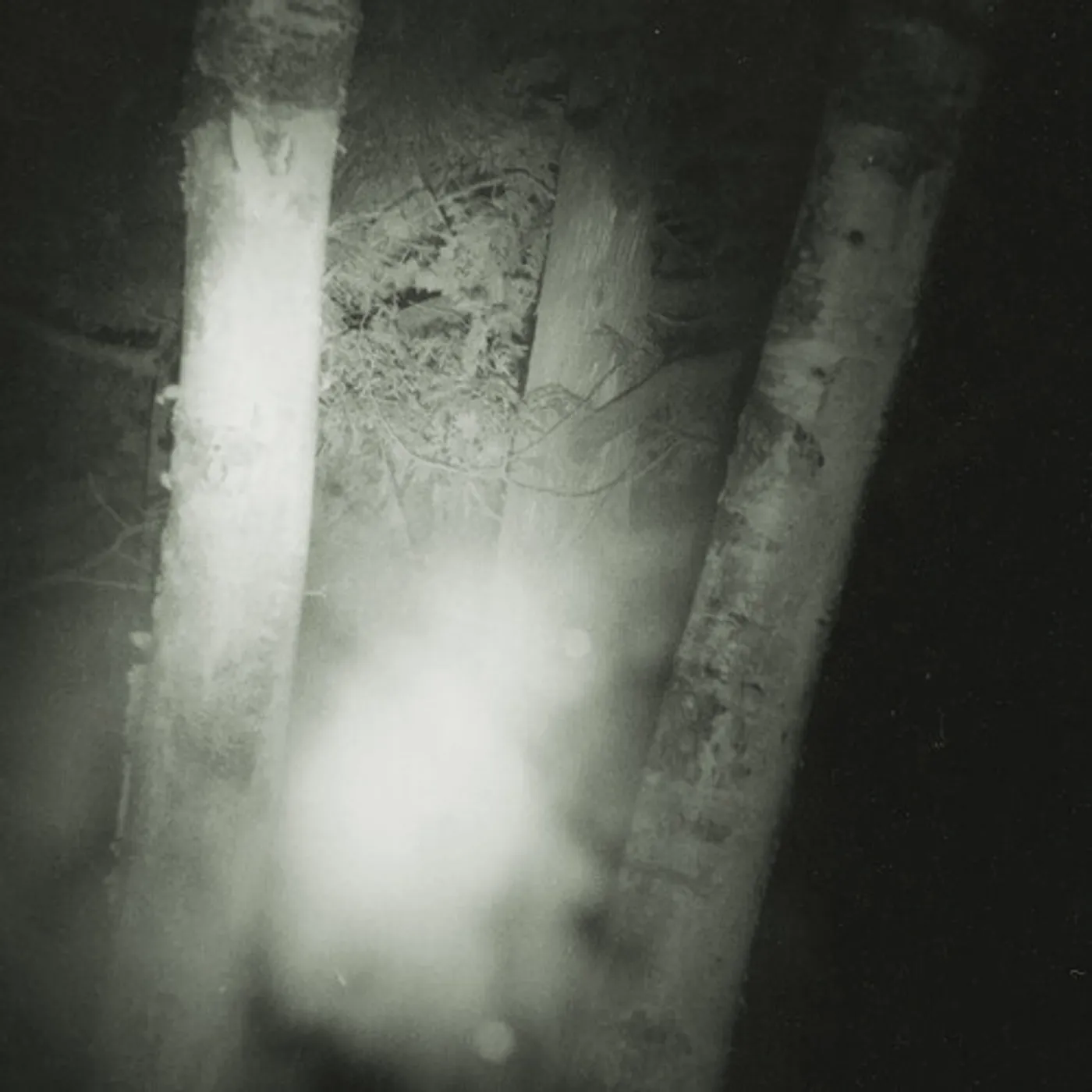 Circle of Salt Suffer the Cold Vinyl Record