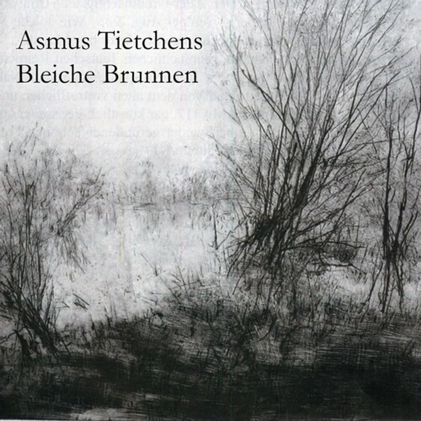 Asmus Tietchens BLEICHE BRUNNEN CD