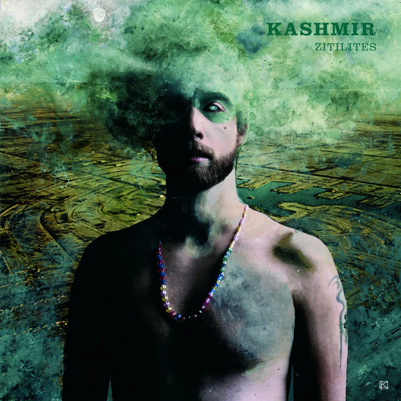 Kashmir Zitilites Vinyl Record