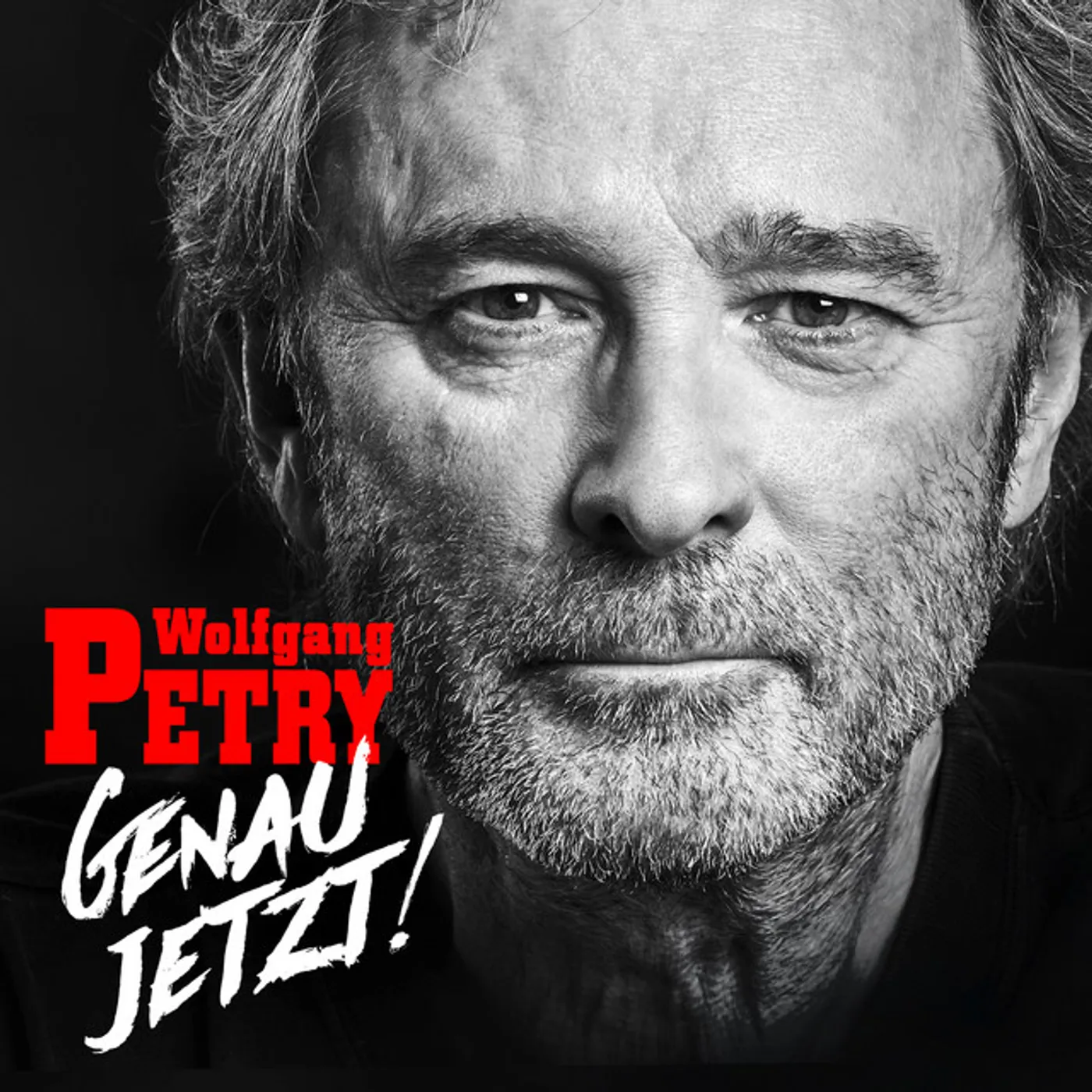 Wolfgang Petry GENAU JETZT CD