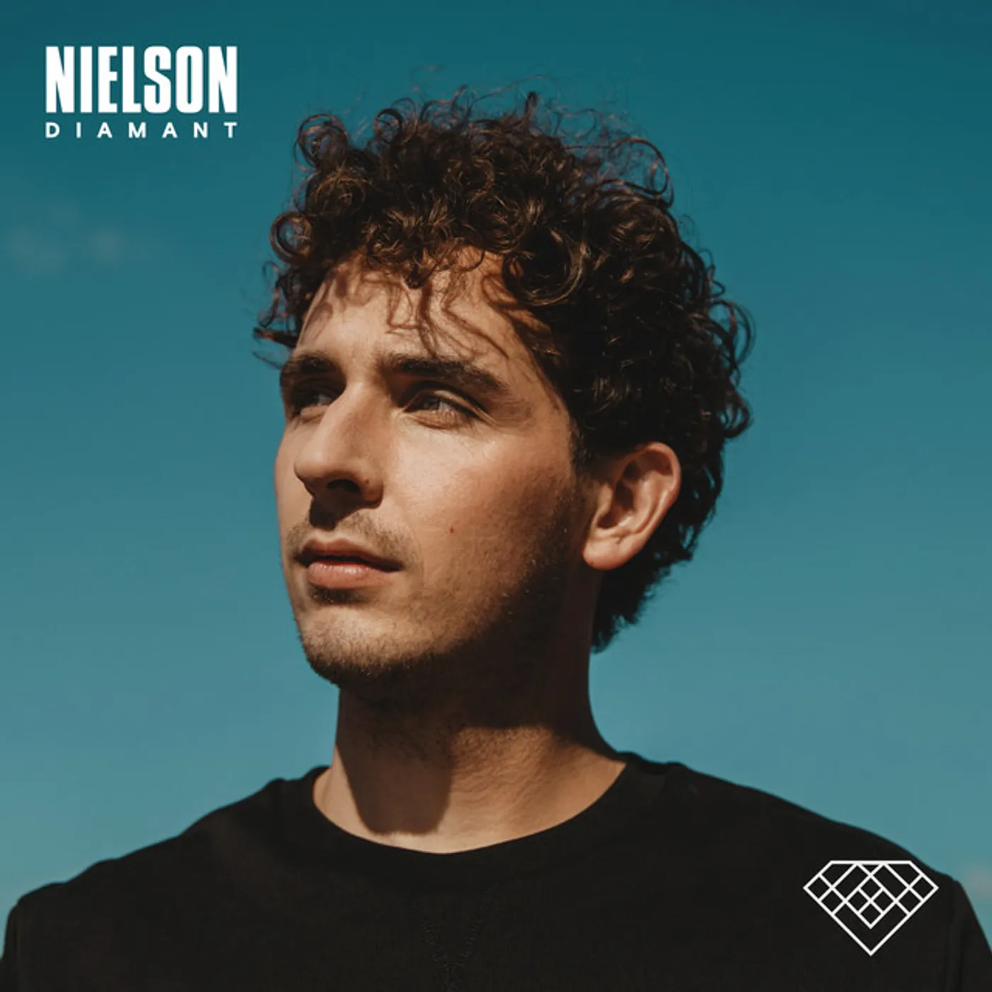 Nielson DIAMANT CD