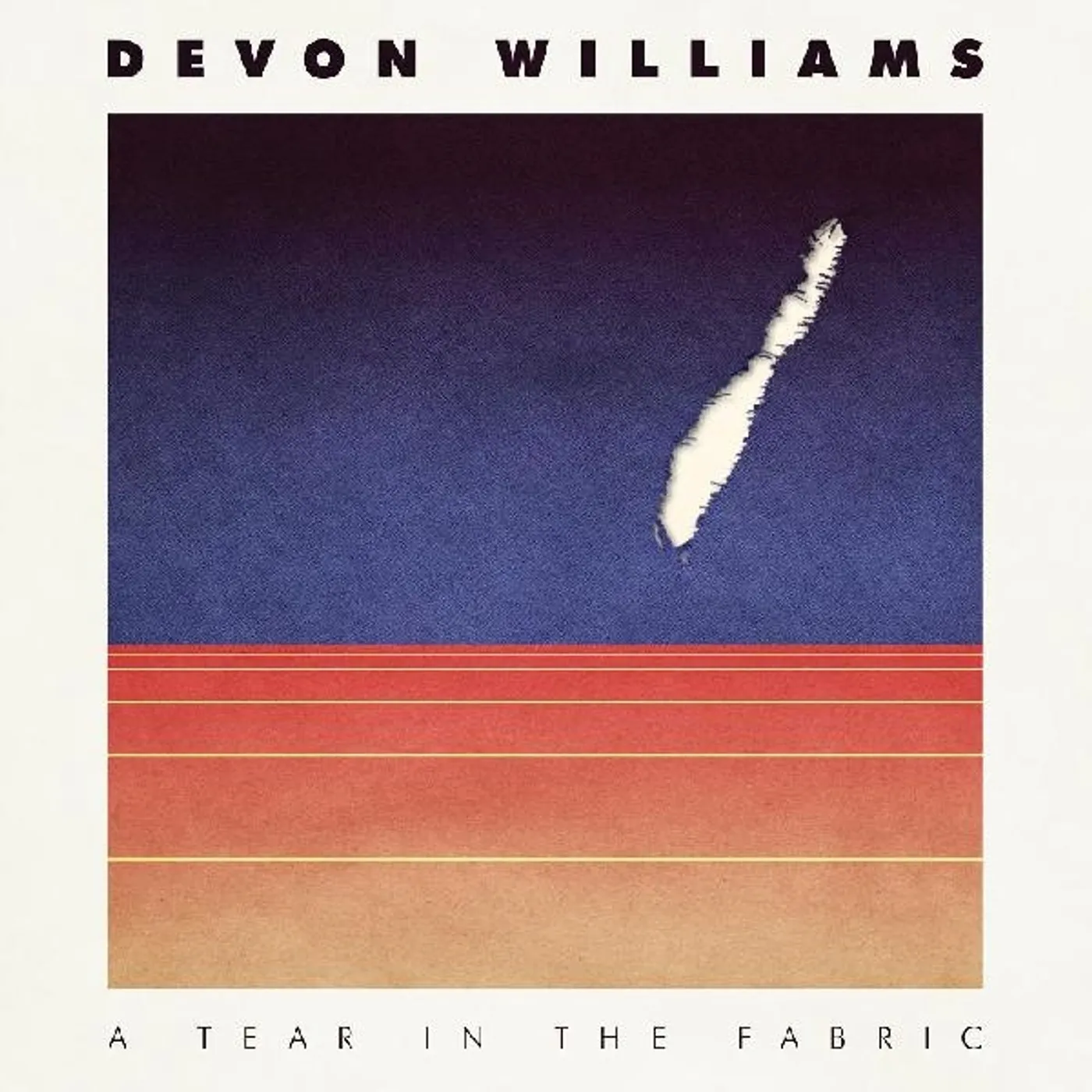 Devon Williams TEAR IN THE FABRIC Vinyl Record