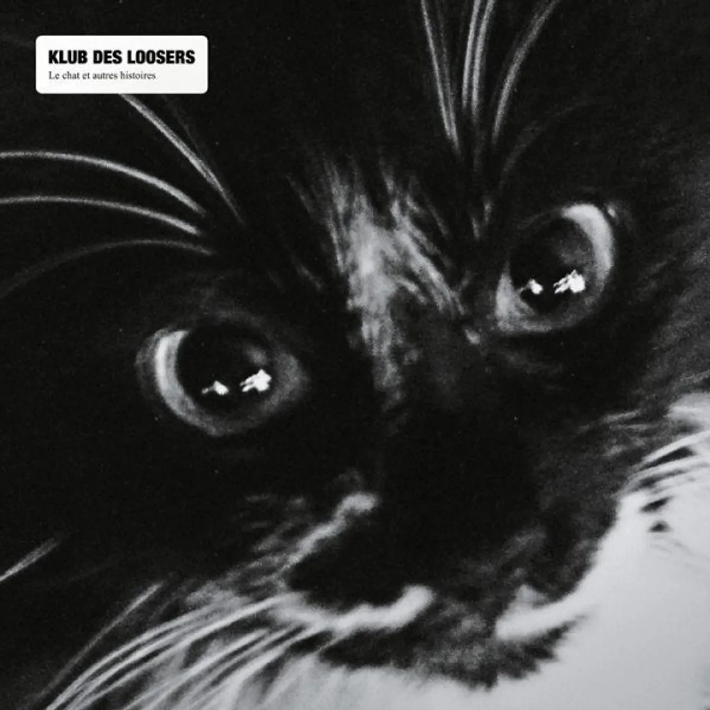 Klub Des Loosers Le chat et autres histoires Vinyl Record