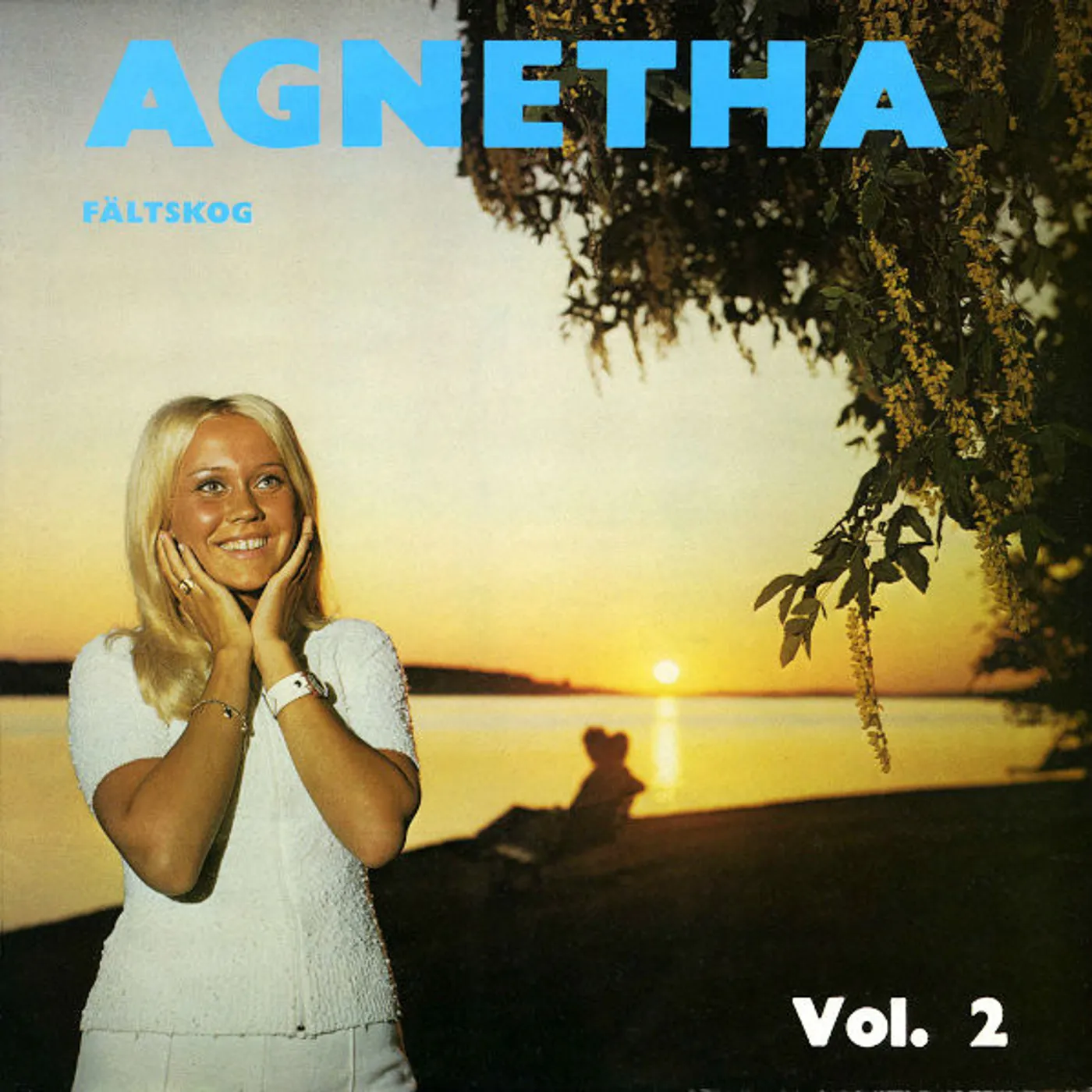 Agnetha Fältskog VOL. 2 (IMPORT) CD