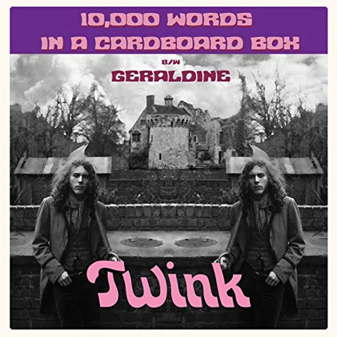 Twink 10 000 WORDS IN A CARDBOARD BOX Vinyl Record