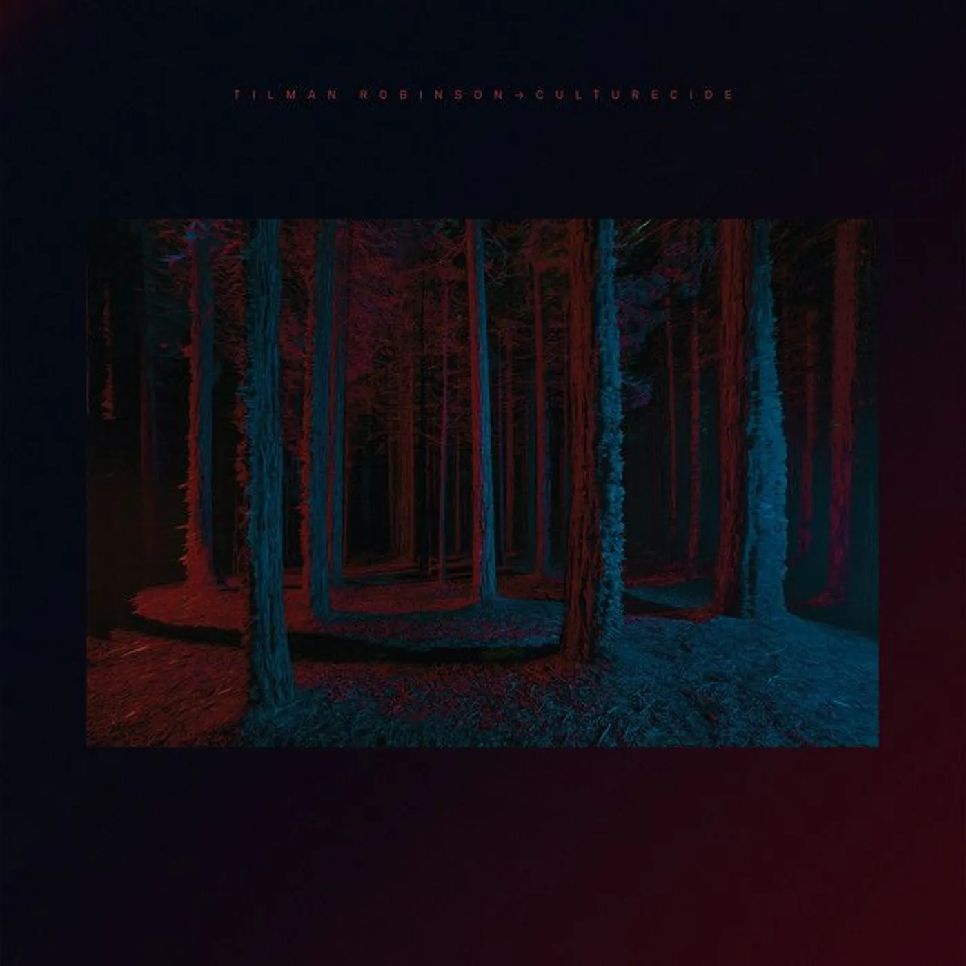 Tilman Robinson Culturecide Vinyl Record