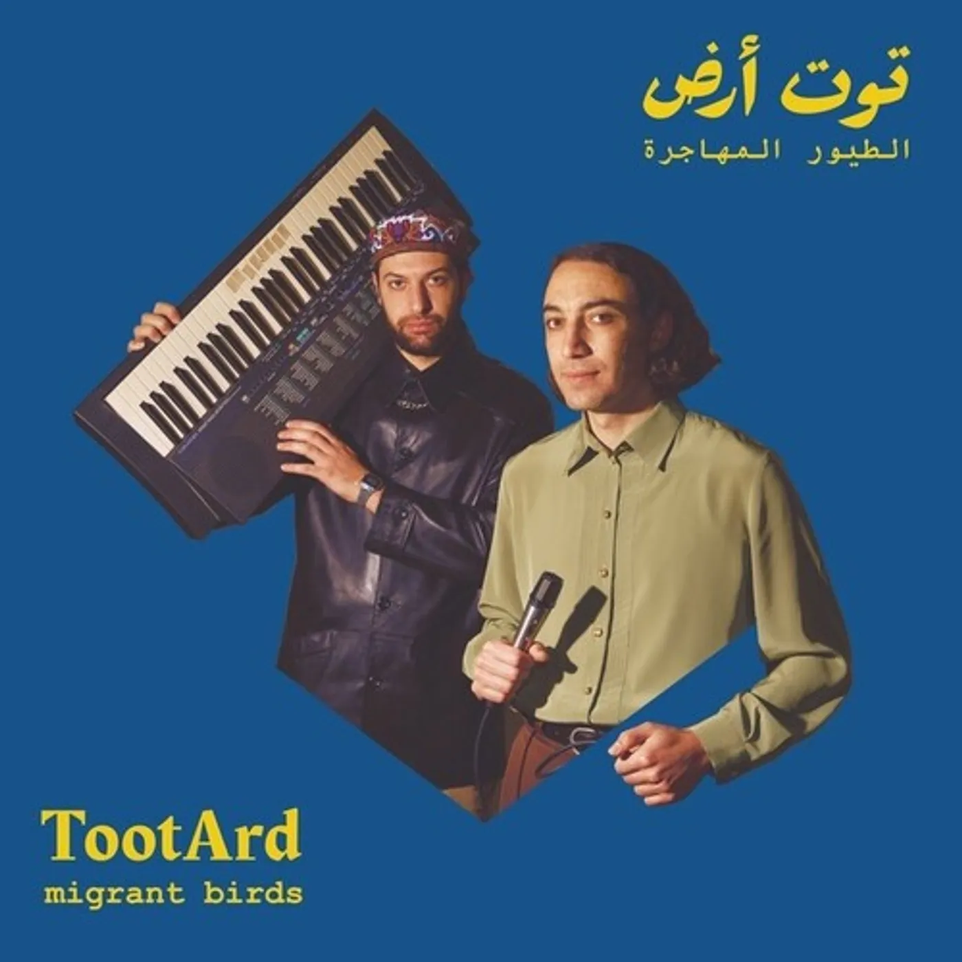 TootArd Migrant Birds Vinyl Record