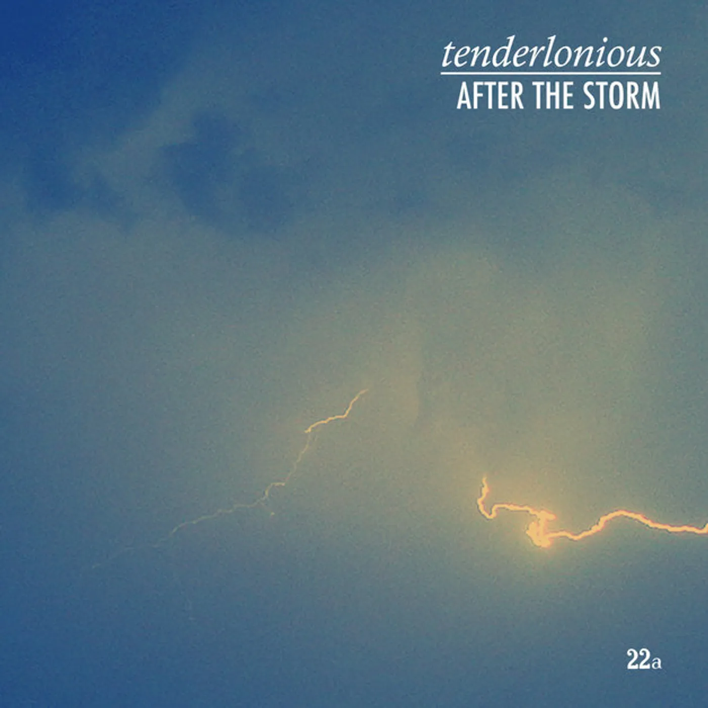 Tenderlonious After the Storm Vinyl Record