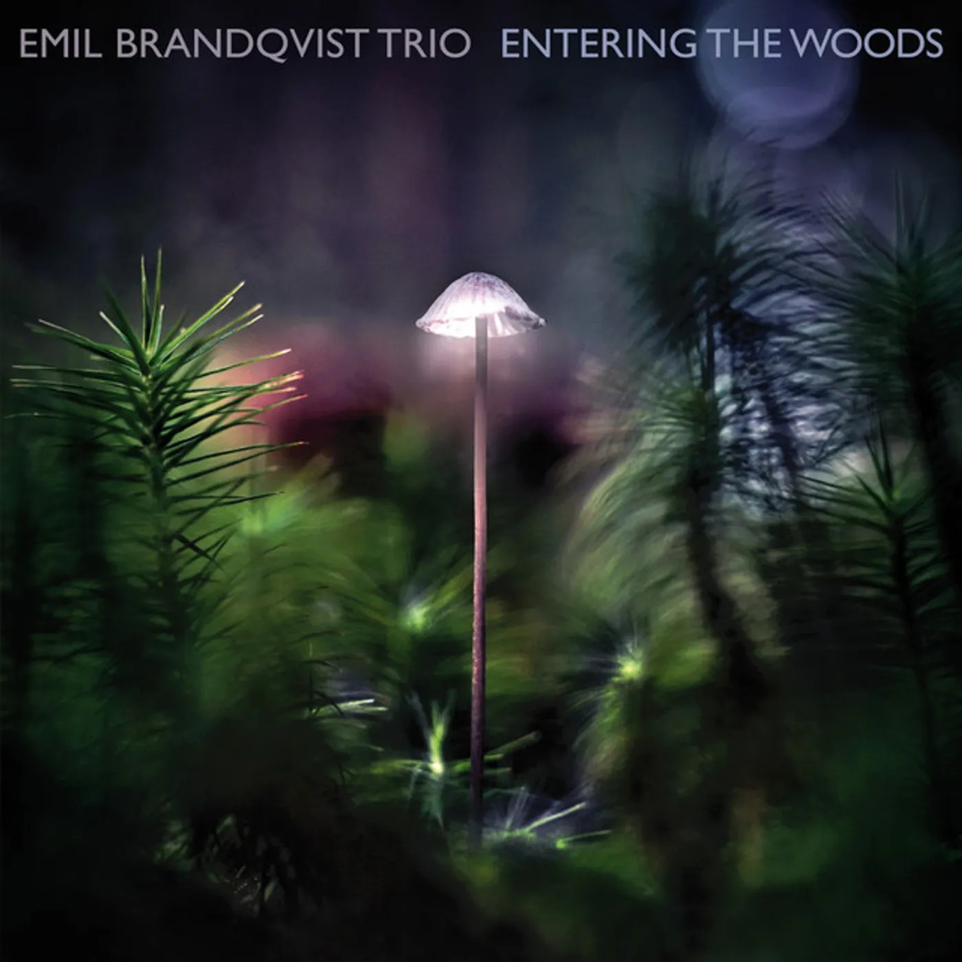Emil Brandqvist ENTERING THE WOODS CD