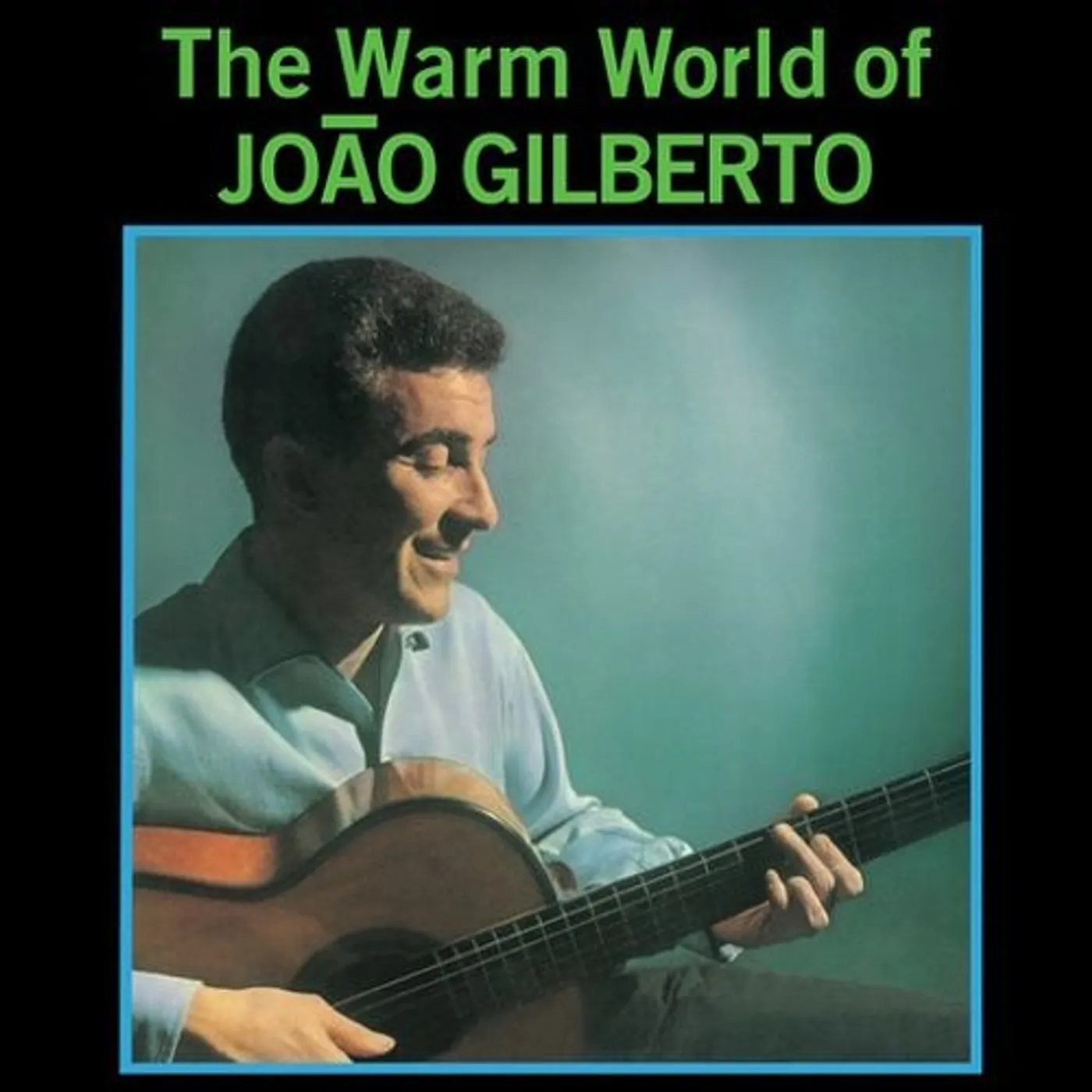 WARM WORLD OF João Gilberto Vinyl Record