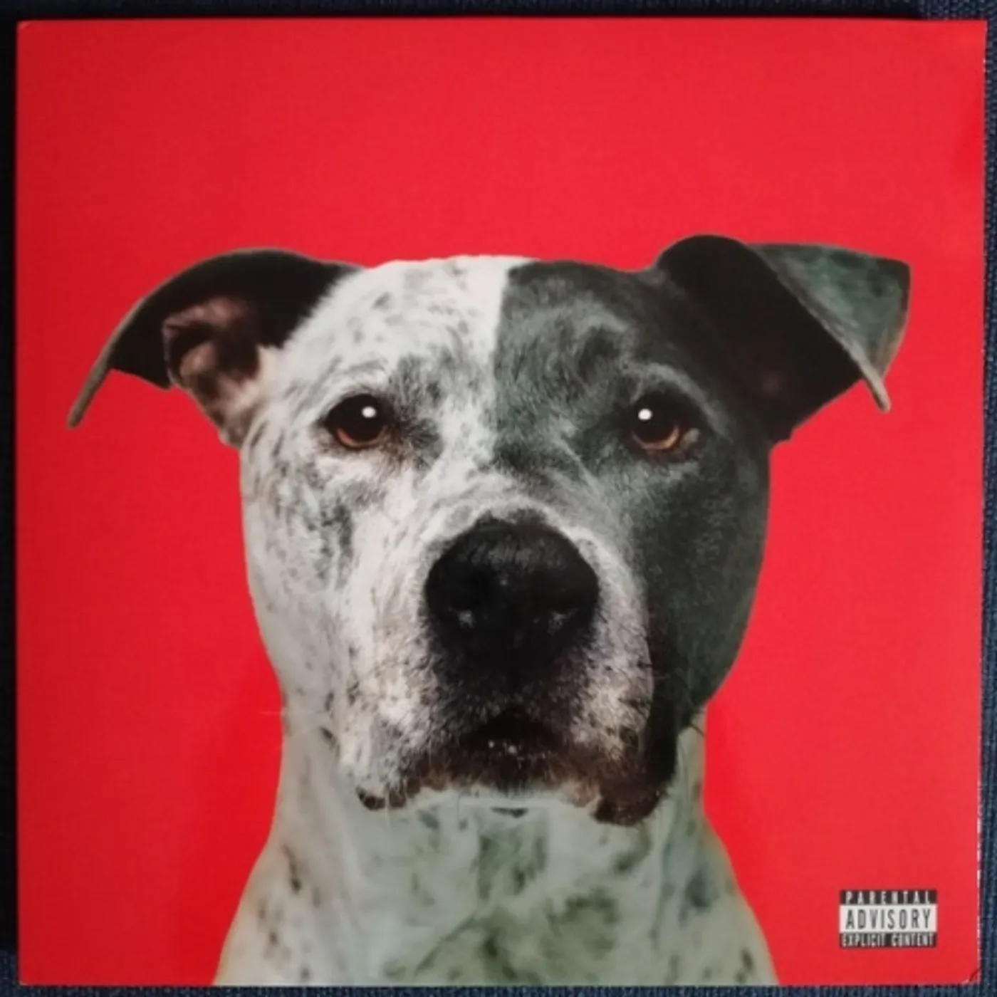 Hanni El Khatib FLIGHT Vinyl Record