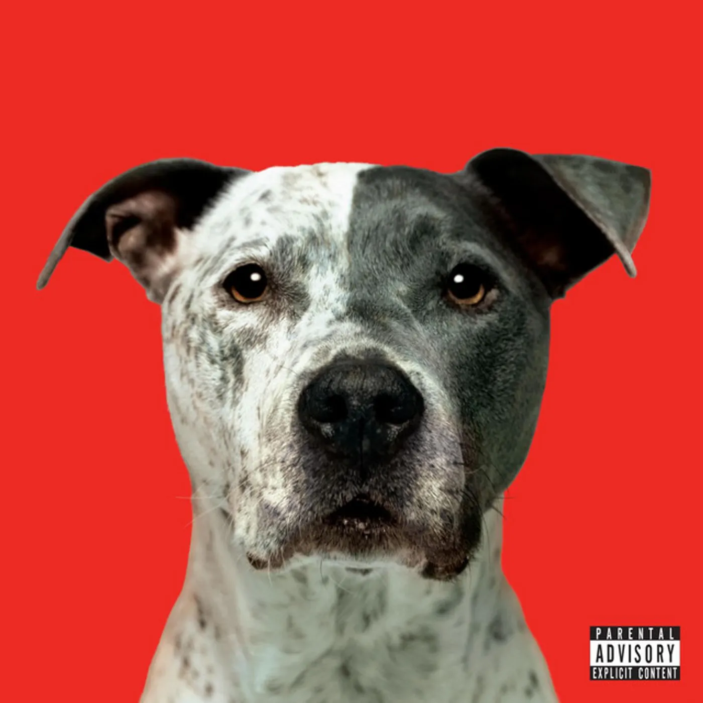 Hanni El Khatib FLIGHT CD