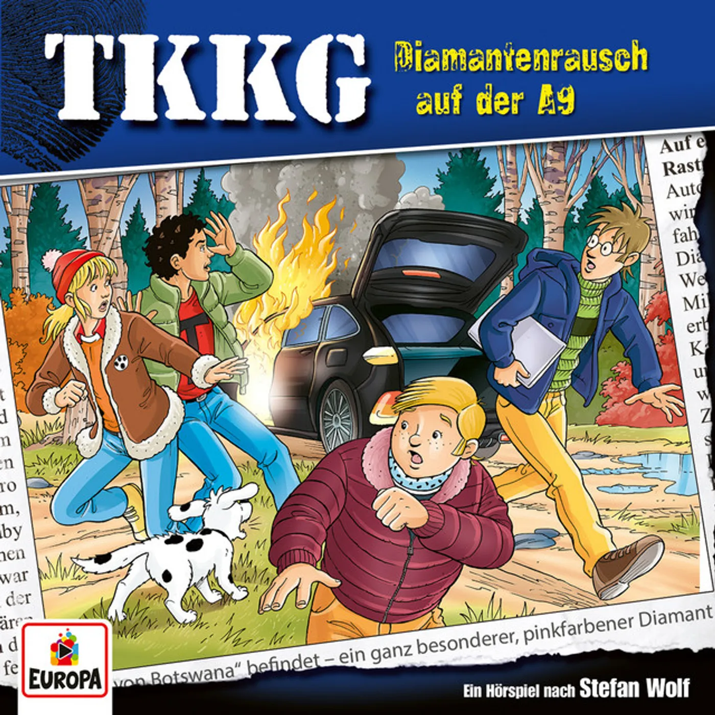 TKKG 214/DIAMANTENRAUSCH AUF DER A9 CD