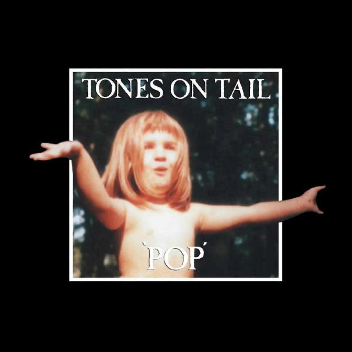 Tones On Tail Pop Vinyl Record