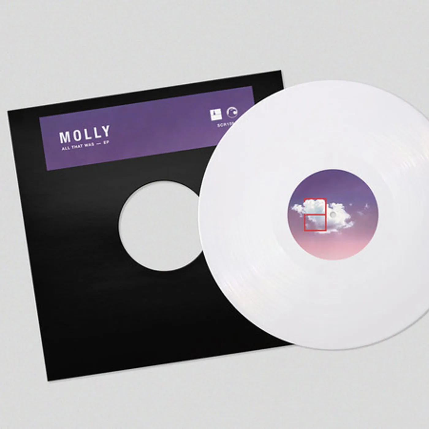 MOLLY All That Was Vinyl Record