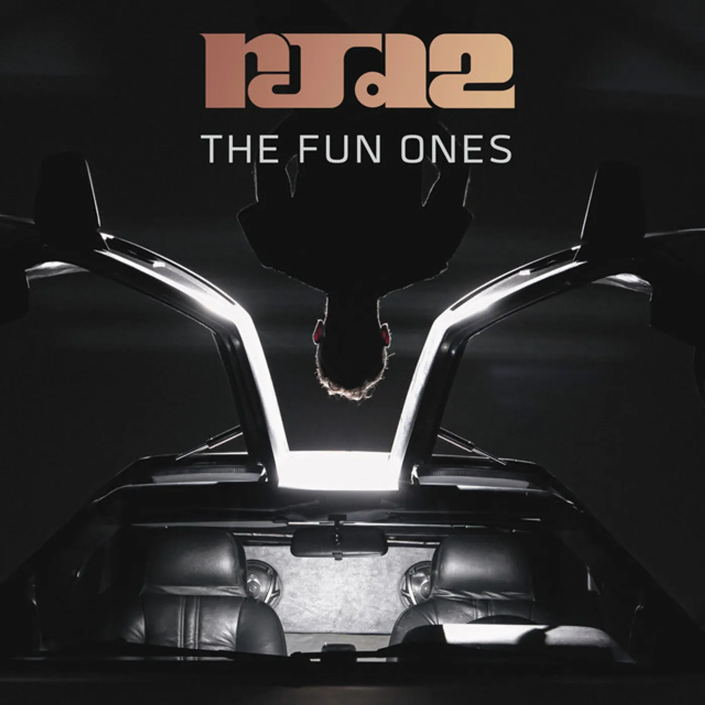 RJD2 FUN ONES CD