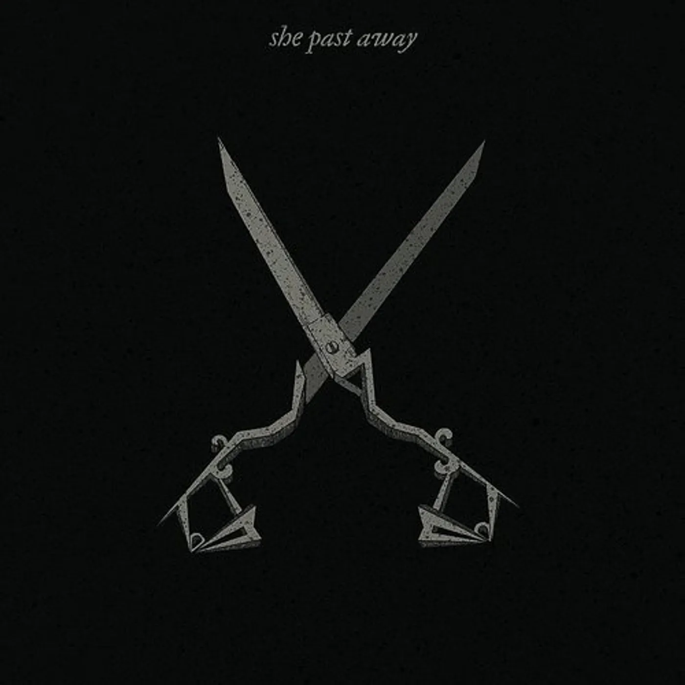 She Past Away X Vinyl Record