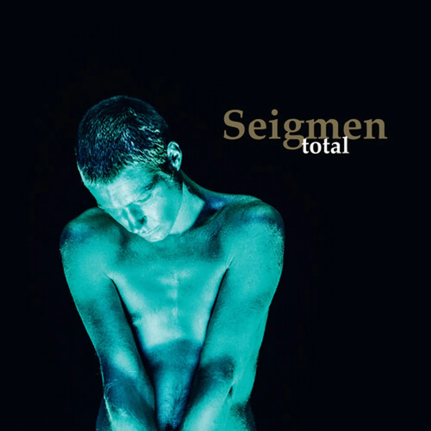 Seigmen Total Vinyl Record
